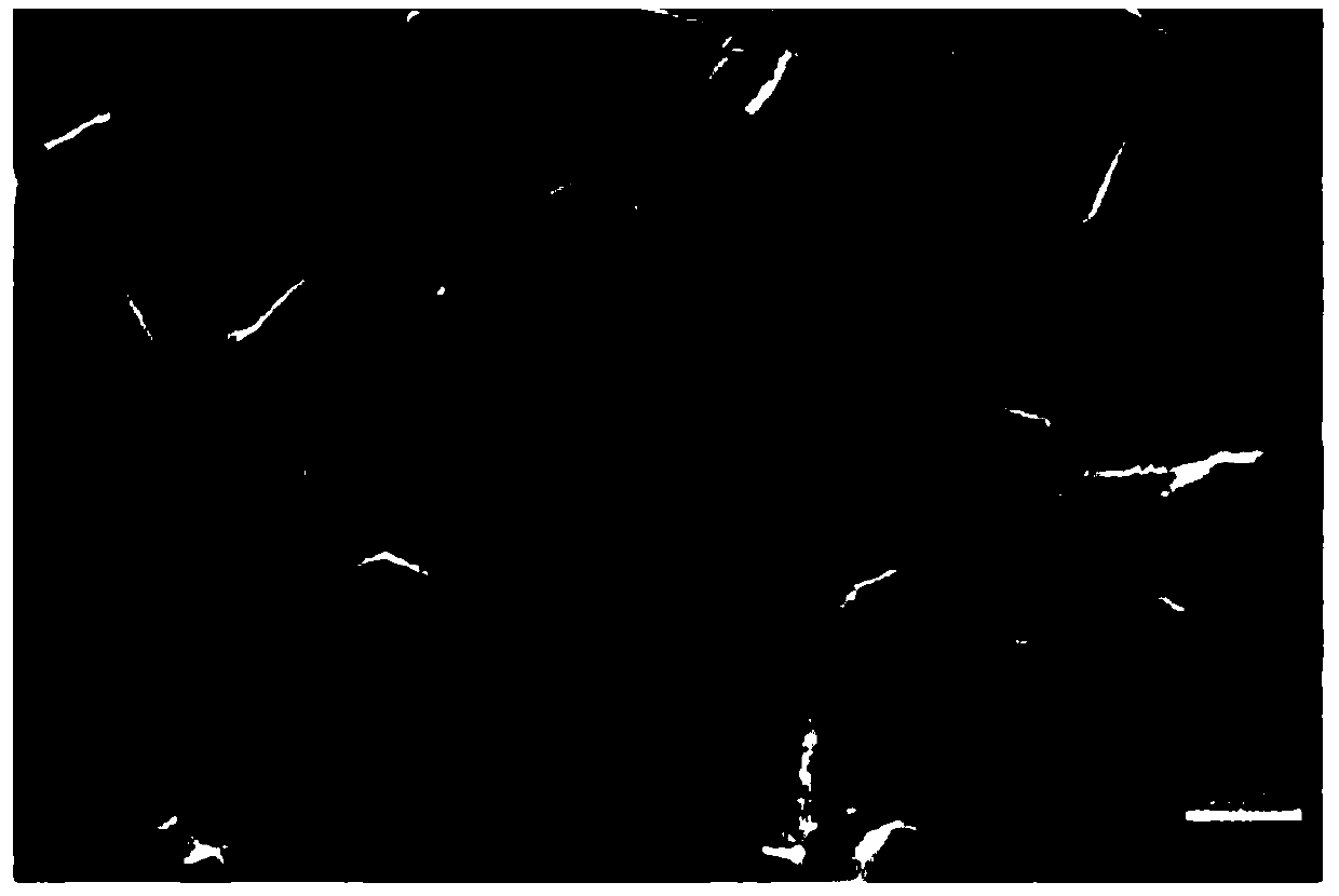 Preparation method of speckle and characterization method for material microdomain deformation