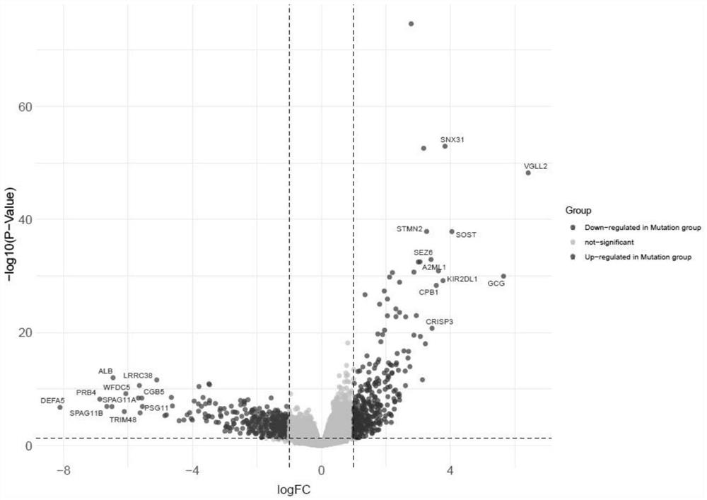 Kit for detecting mutation of lung adenocarcinoma cell cycle progress pathway related genes