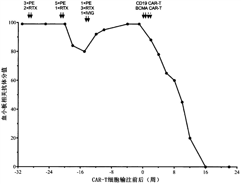 Combined application of sequential infusion CD19 CAR-T and BCMA CAR-T cells in immune-mediated platelet infusion invalidation of acute leukemia patients