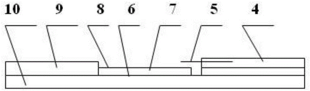 Preparation method of coxsackievirus antigen and rapid detection kit prepared by utilizing antigen and used for detecting coxsackievirus antibody