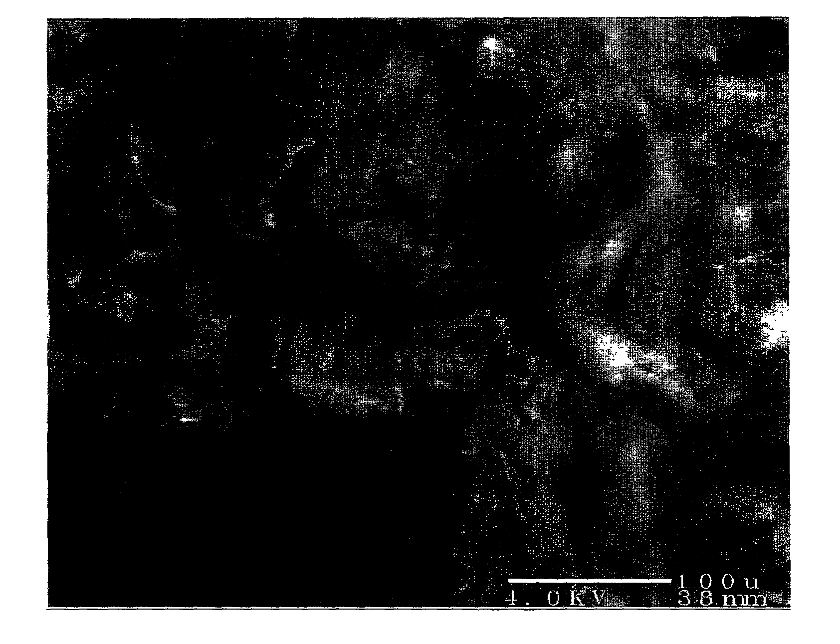 Electrolytic deposition of coatings for prosthetic metals and alloys