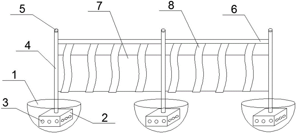 Spinach high-yield planting method