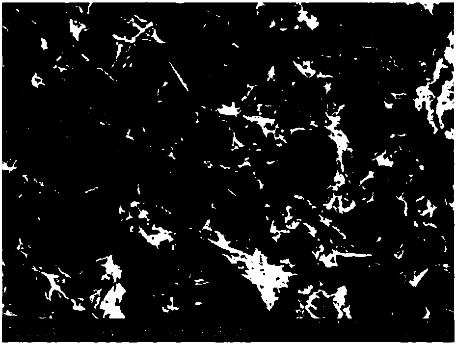 Nickel sulfide/carbon nano tube flexible composite thin-film material and preparation method and application thereof