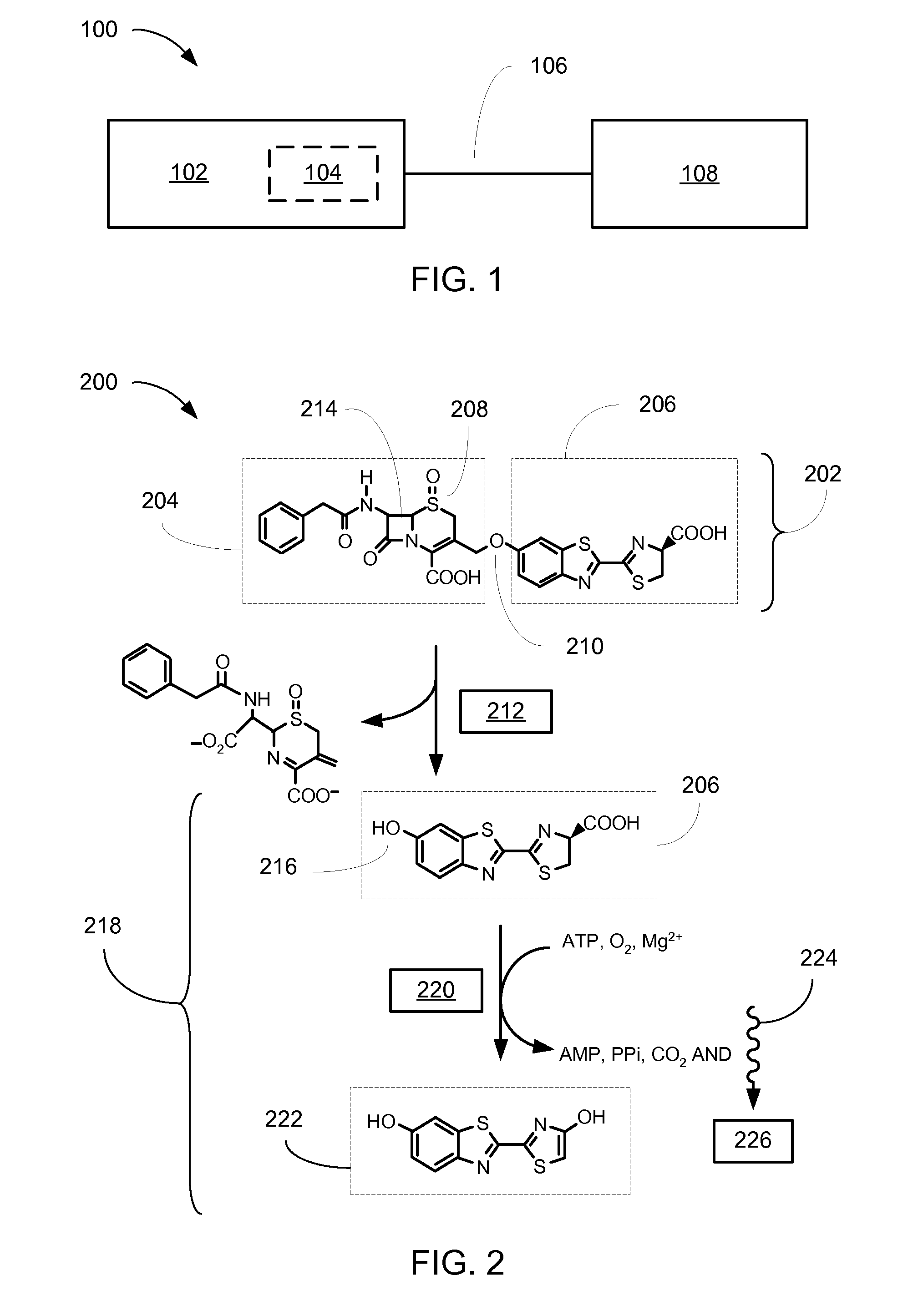 Bioluminogenic assay system for measuring beta-lactamase activity