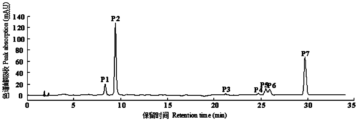 Method for identifying camellia japonica color bud mutation varieties