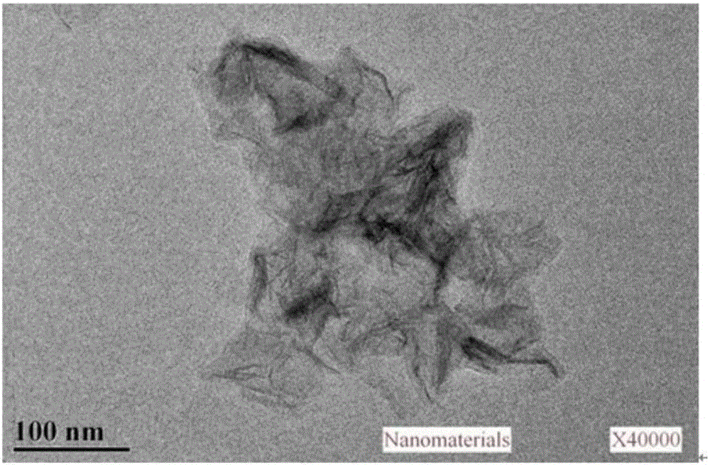 Method for simulating peroxidase by manganese dioxide nanosheet for detection of reductive biological molecules