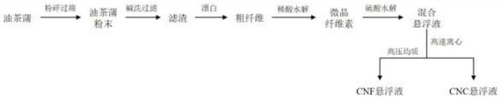 Method for simultaneously preparing cellulose nanocrystals and cellulose nanofibers from oil-tea camellia husk