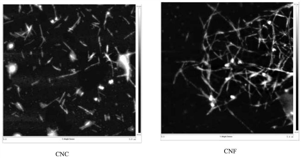 Method for simultaneously preparing cellulose nanocrystals and cellulose nanofibers from oil-tea camellia husk