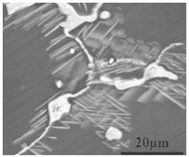 High-strength high-plastic rare earth magnesium alloy and preparation method thereof