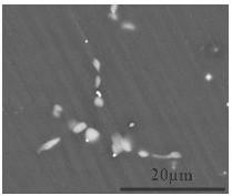 High-strength high-plastic rare earth magnesium alloy and preparation method thereof