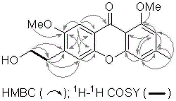 Xanthone compound, preparation method and application thereof