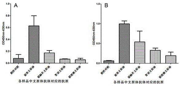 Composition for detecting mycoplasma antibody and application thereof