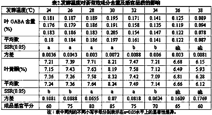 Buckwheat leaf fermented tea and preparation method thereof