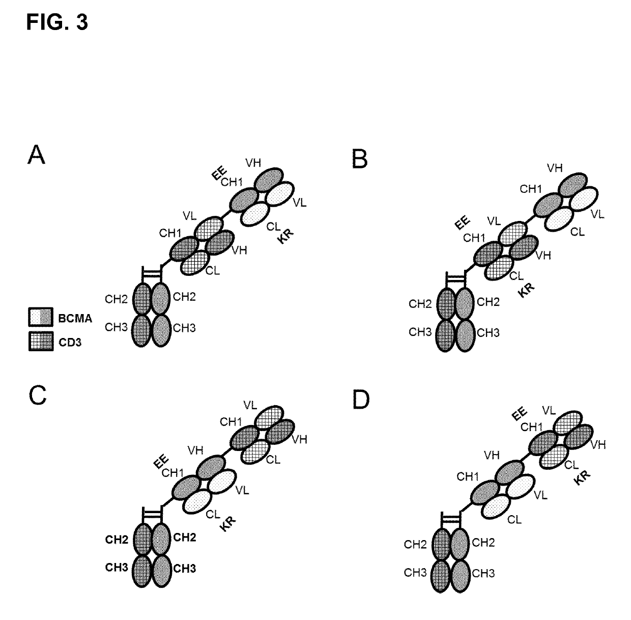 Bispecific antibodies against CD3ϵ and BCMA