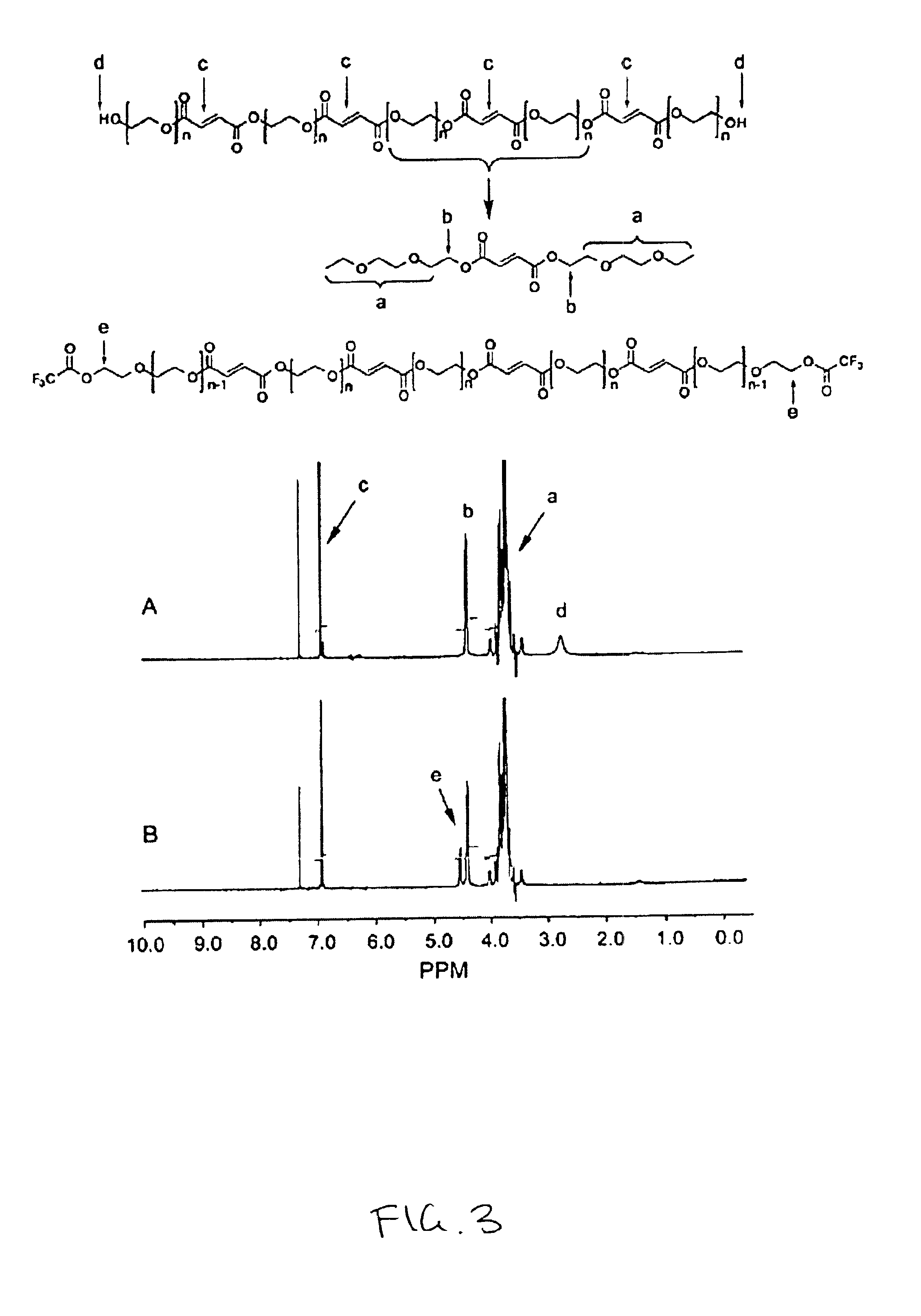 Biocompatible macromers