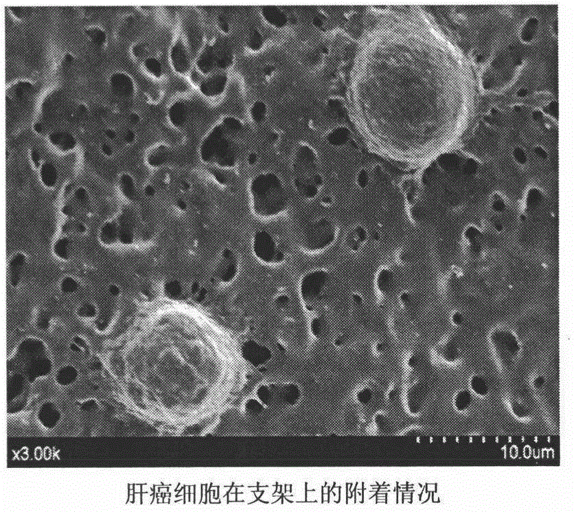 Novel construction method of biodegradable porous PHBV/PPC (poly (3-hydrobutyrate-3-hydroxyvalerate)/polypropylene carbonate) composite scaffold