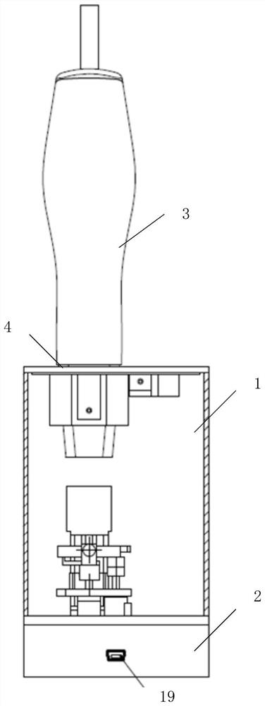 Calibrator for three-dimensional oral scanner