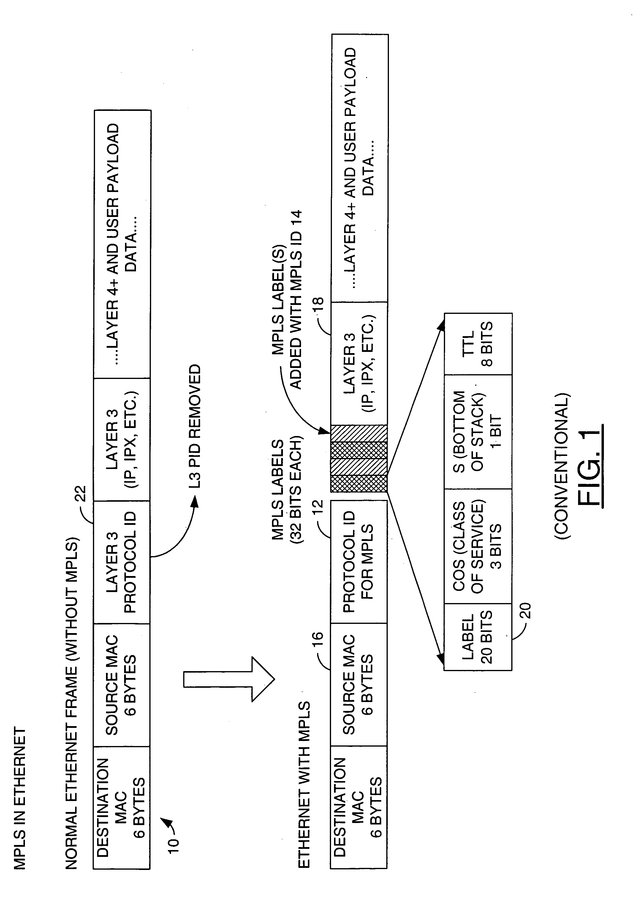 Technique for multiprotocol transport using MPLS (multi-protocol label switching)