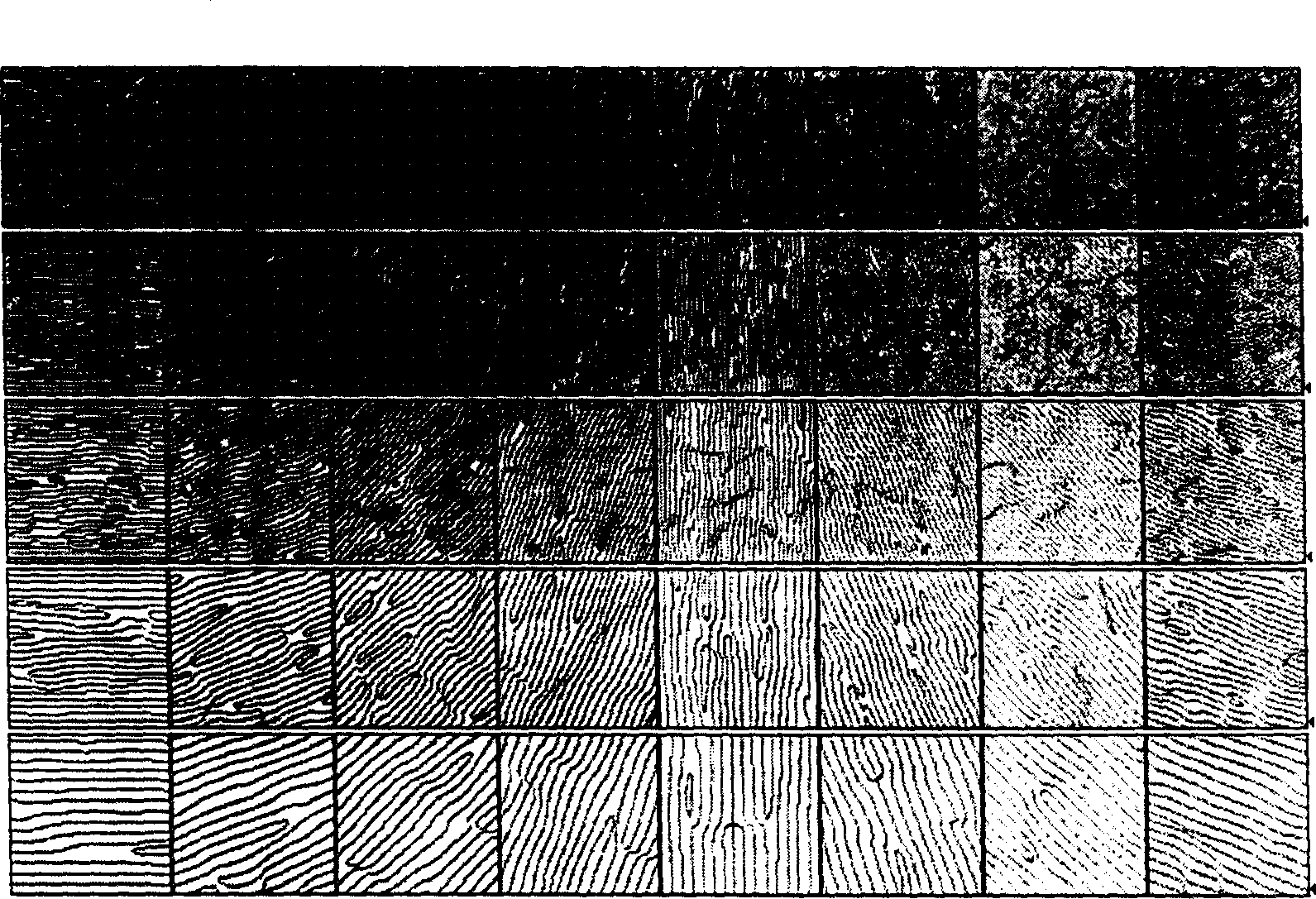 Image identifying method based on Gabor phase mode