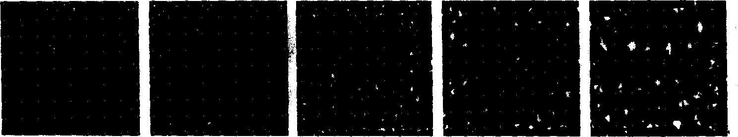 Image identifying method based on Gabor phase mode