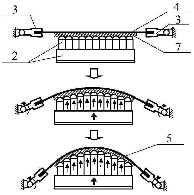 Three-dimensional Curved Surface Stretch Forming Method Based on Deformed Surface Discrete Die