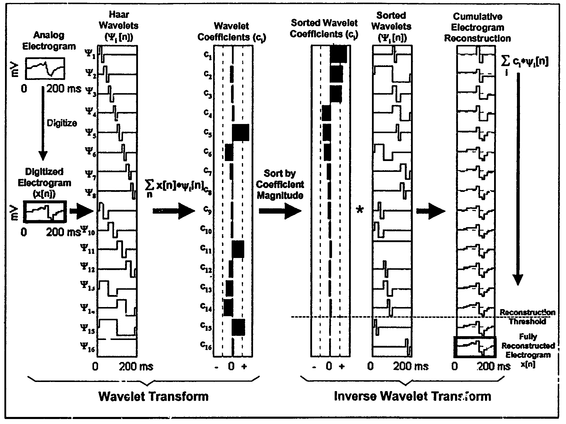 Methods and apparatus for discriminating polymorphic tachyarrhythmias from monomorphic tachyarrhythmias facilitating detection of fibrillation