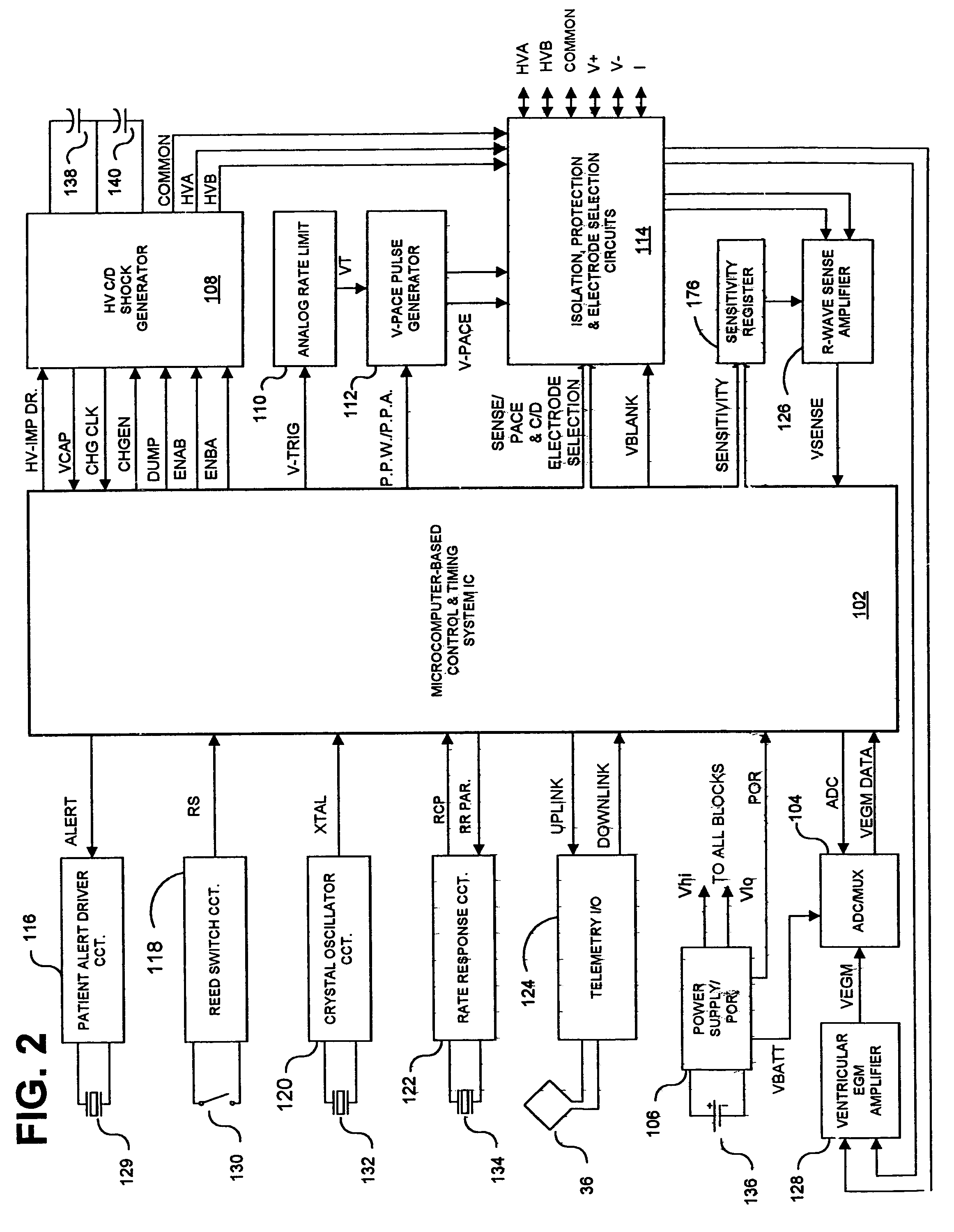 Methods and apparatus for discriminating polymorphic tachyarrhythmias from monomorphic tachyarrhythmias facilitating detection of fibrillation