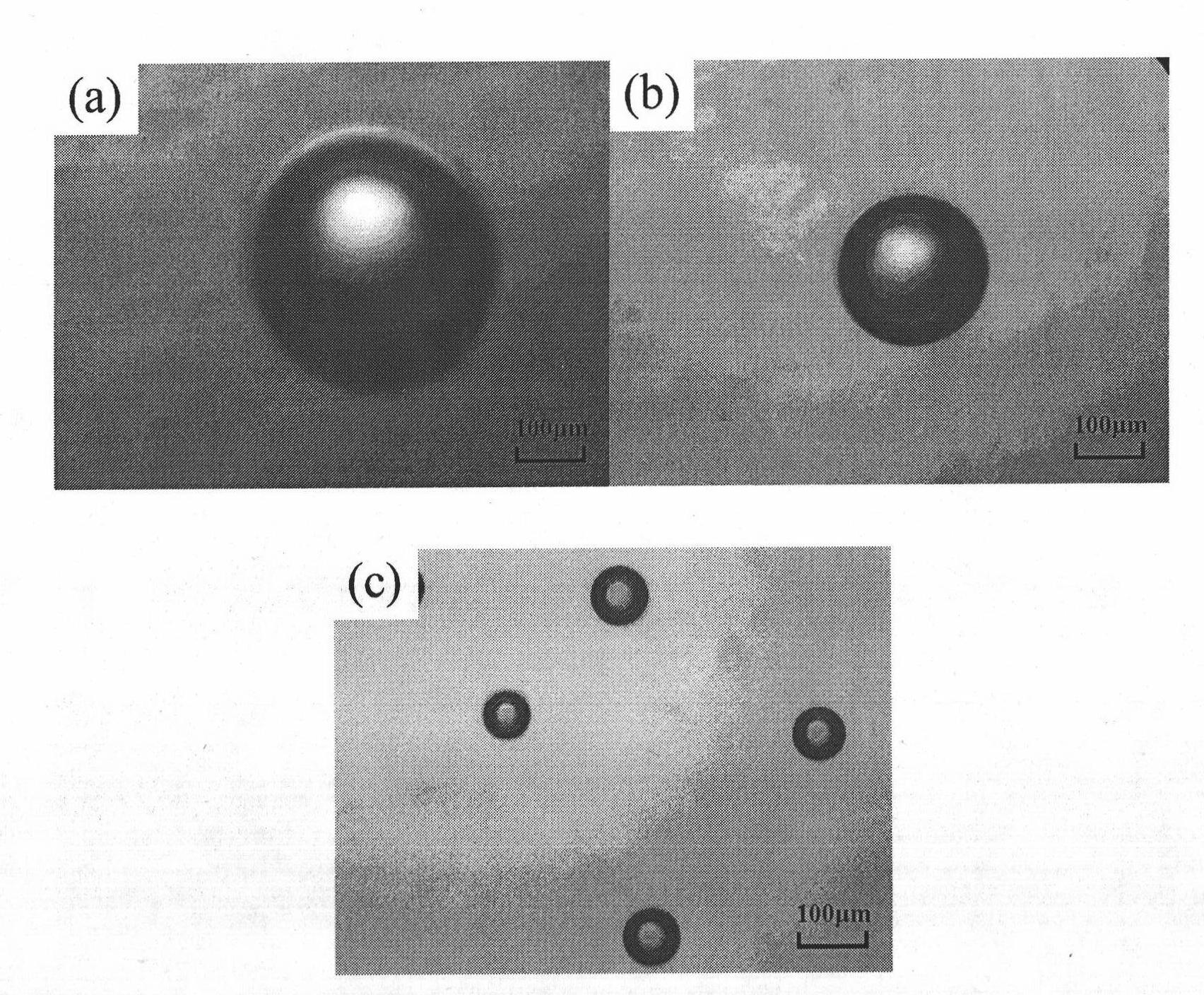 Hollow glass microsphere prepared by soft template method and preparation method thereof