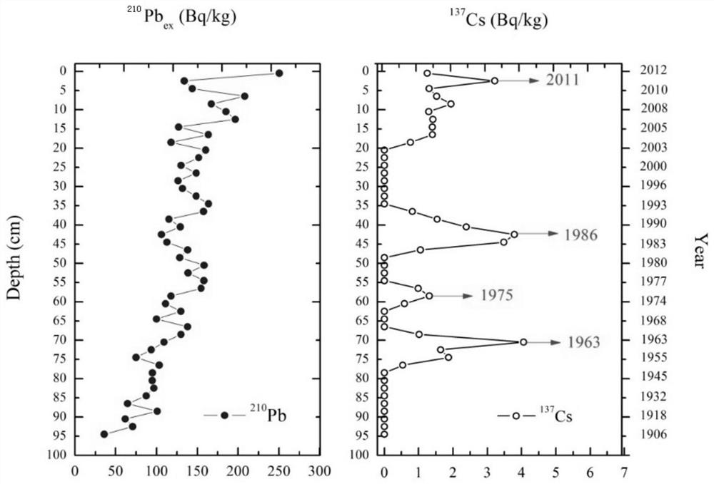 Lake suitable ecological water level determination method based on paleo-marsh method