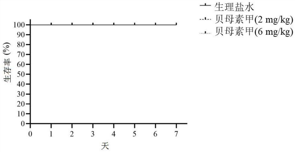 Application of peimine in preparation of medicine for preventing and/or treating ulcerative colitis