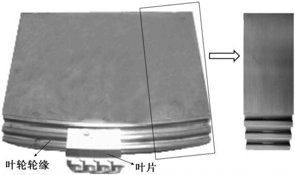 Compressed sensing based turbine impeller ultrasonic phased array signal compression method