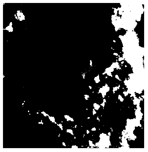 Canine parvovirus-like particles and preparation method and application thereof