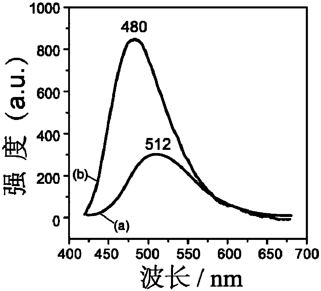 3-Hydroxy-2-naphthoic acid/1-octanesulfonic acid/lyh complex and its synthesis method