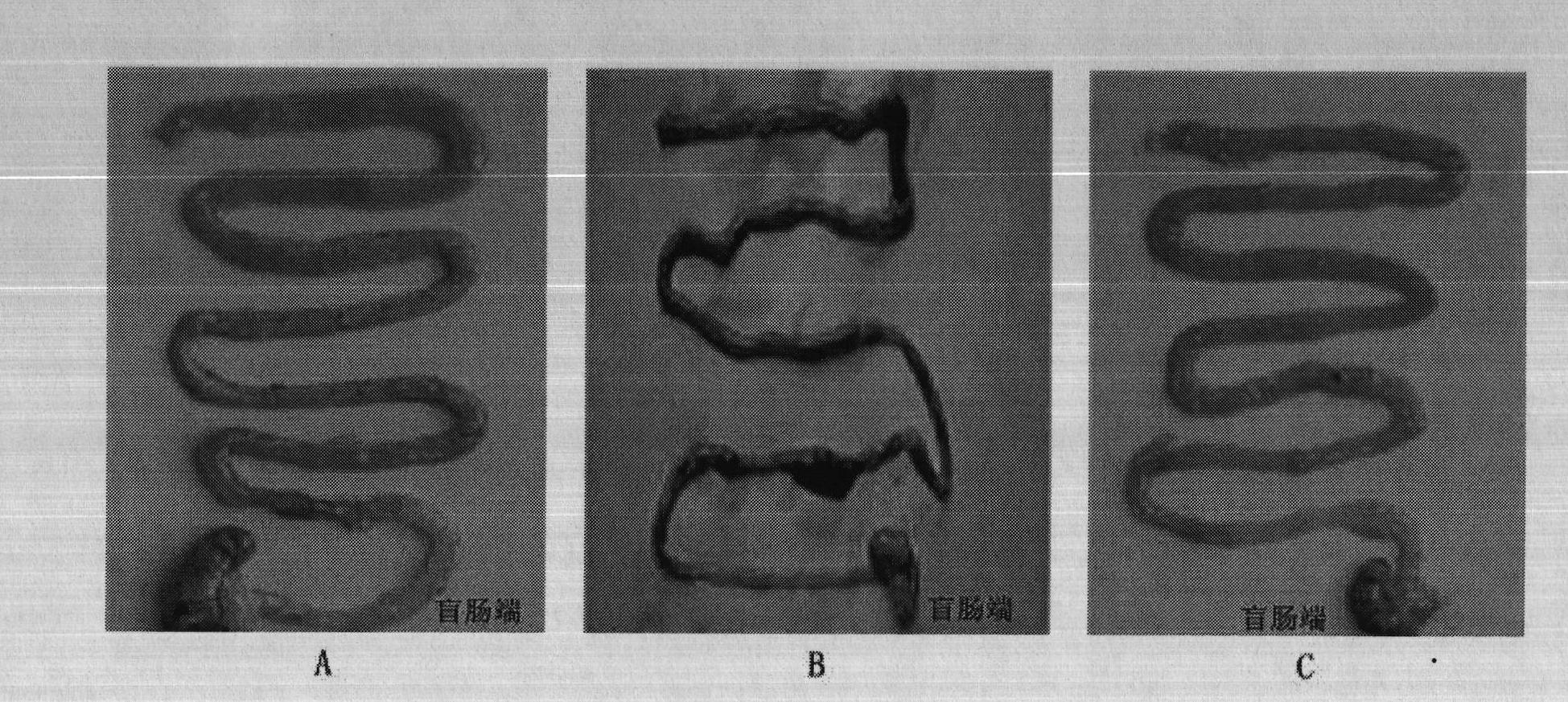 Application of curcumin in preparing medicine for treating intestinal ischemia reperfusion injury