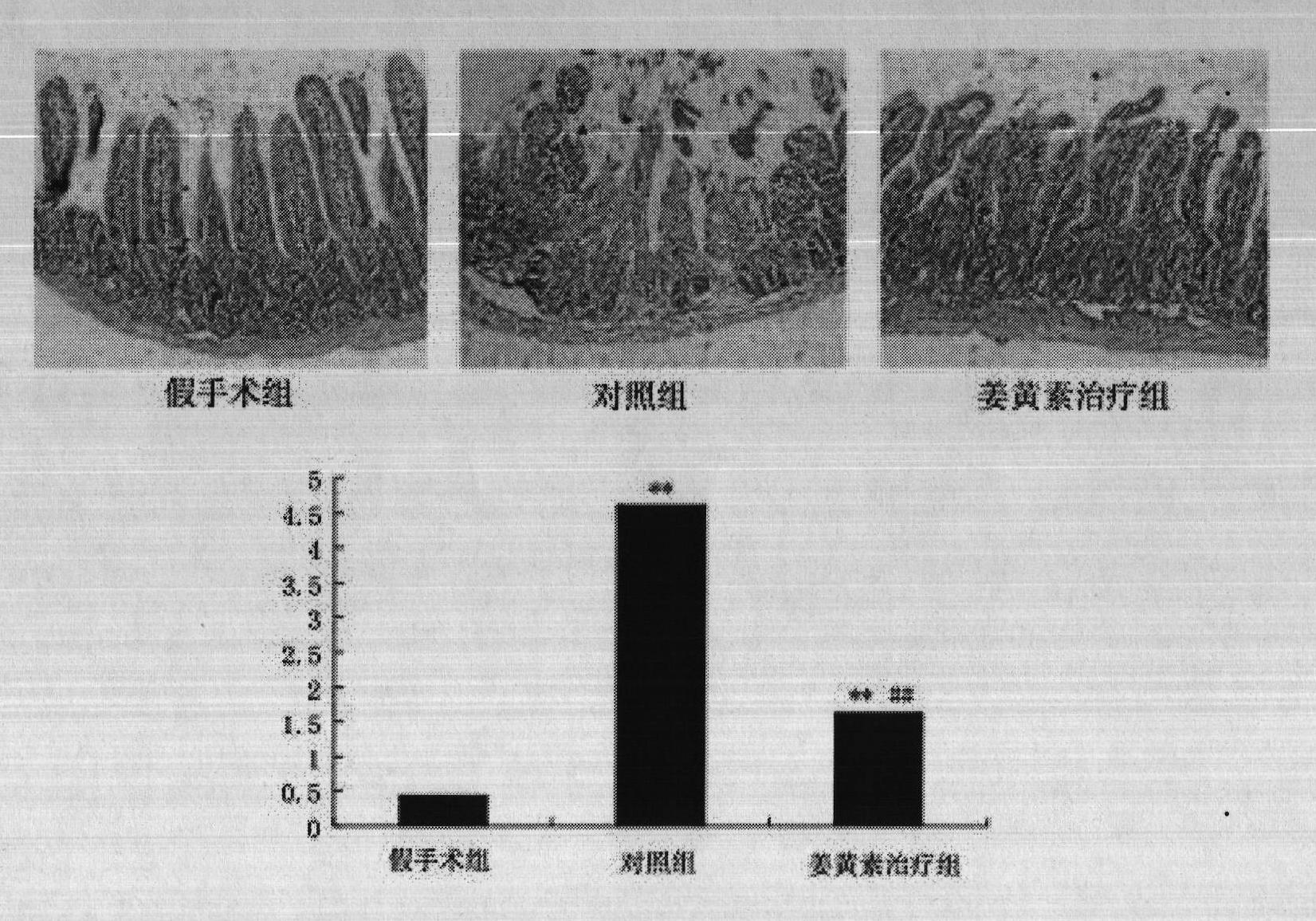 Application of curcumin in preparing medicine for treating intestinal ischemia reperfusion injury