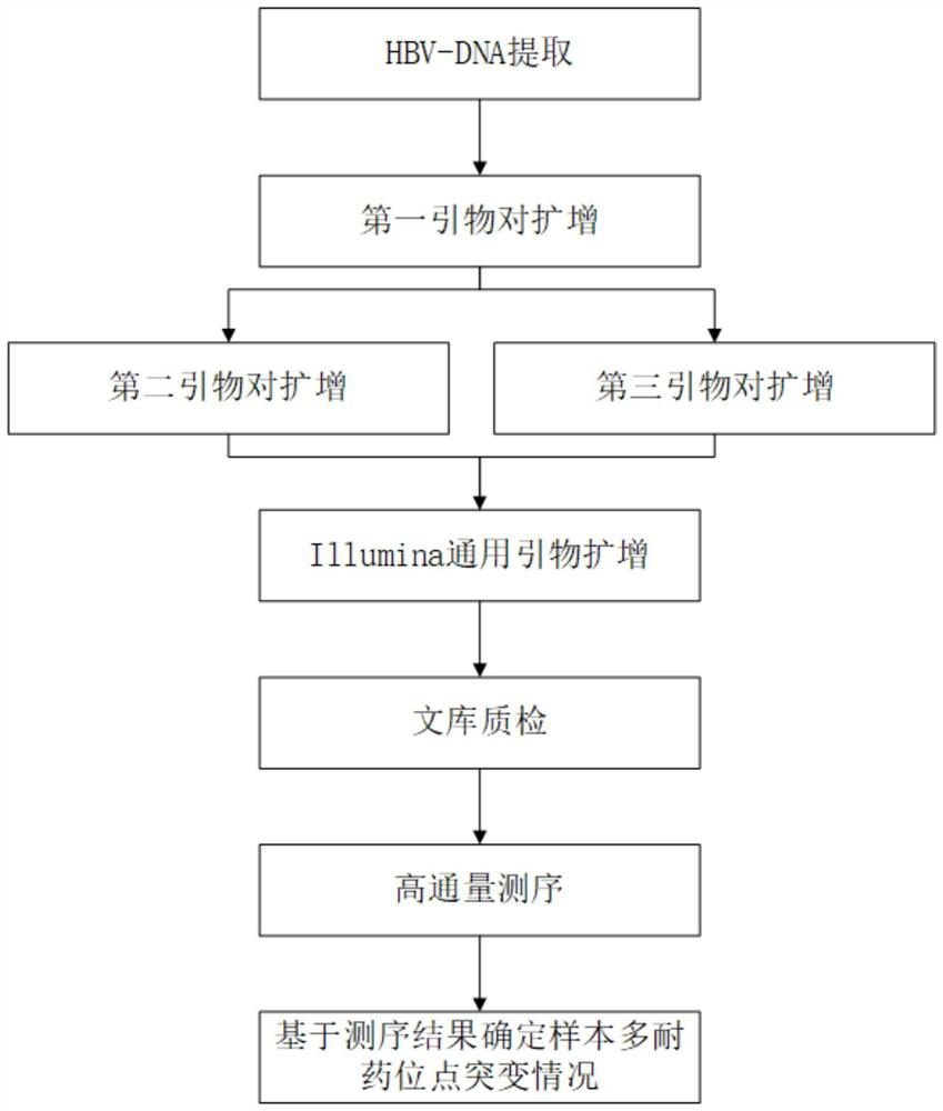 Kit and method for detecting hepatitis B typing and multi-drug resistance loci based on illumina sequencing technology