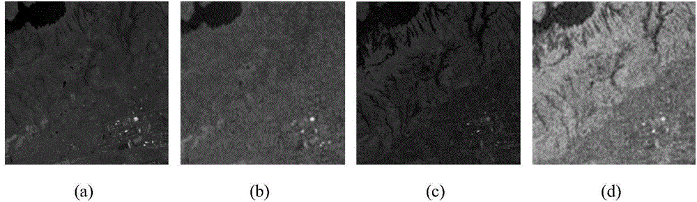 Hyper-spectral compressive imaging method based on three-dimensional tensor compressed sensing