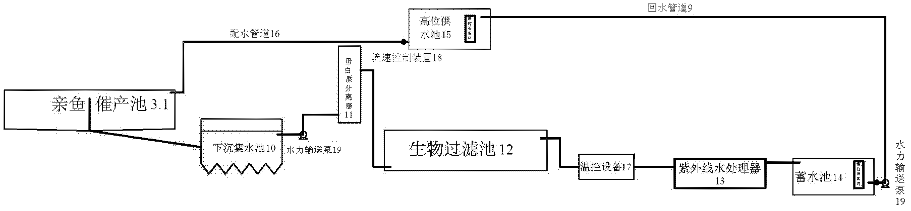 Intensive fry breeding system of Pelteobagrus fulvidraco