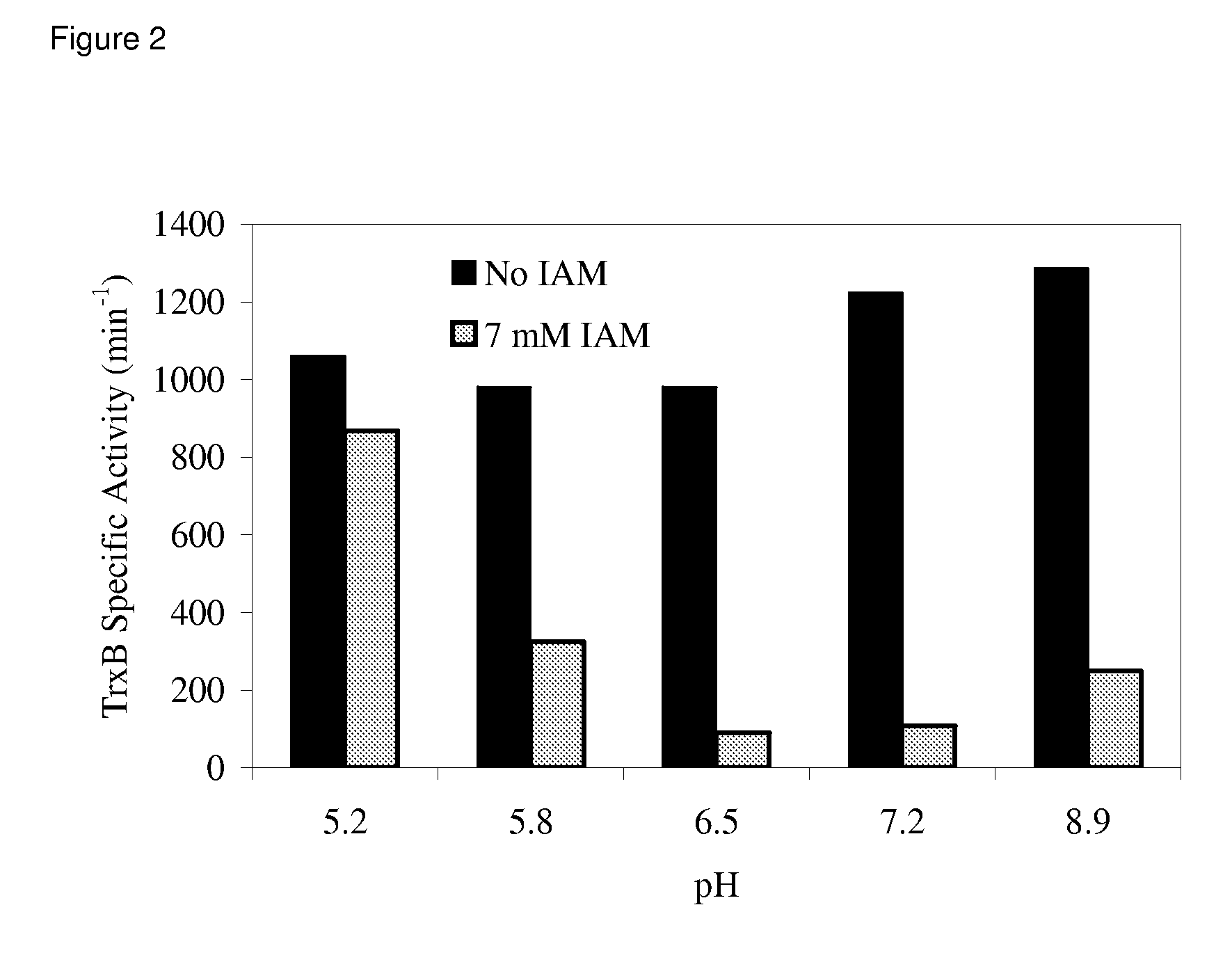 Enhanced cell-free synthesis of active proteins containing disulfide bonds