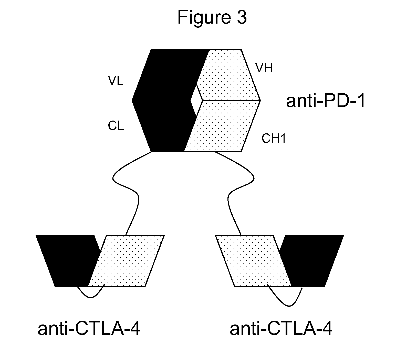 Bispecific antibodies