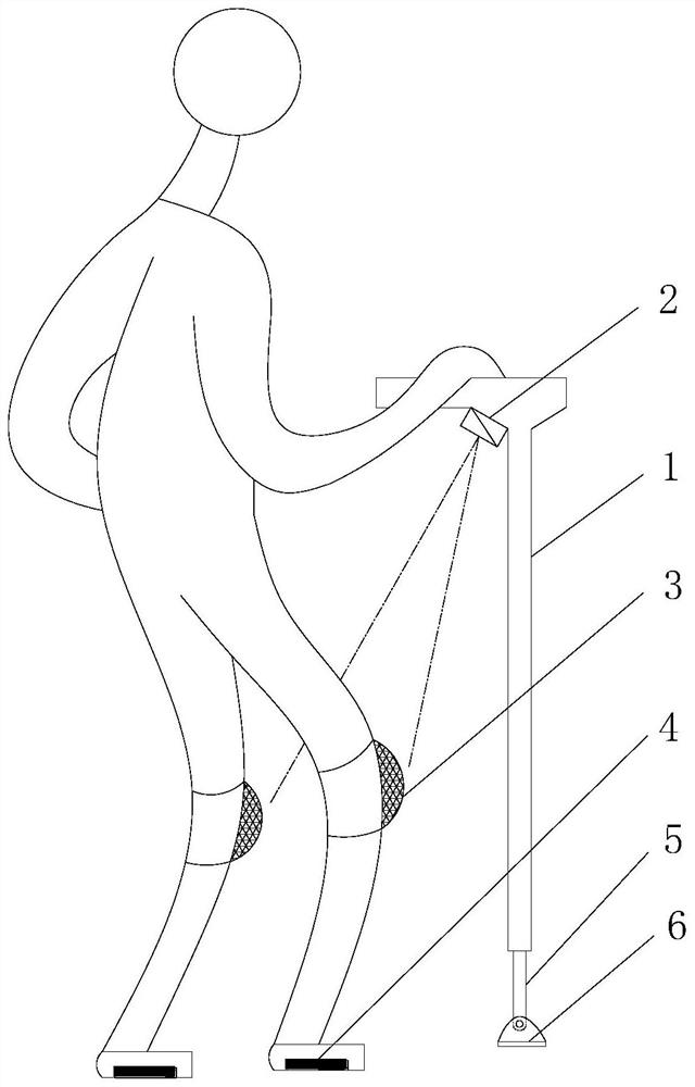 Assessment system and assessment method for predicting falling risk of senile sarcopenia patient