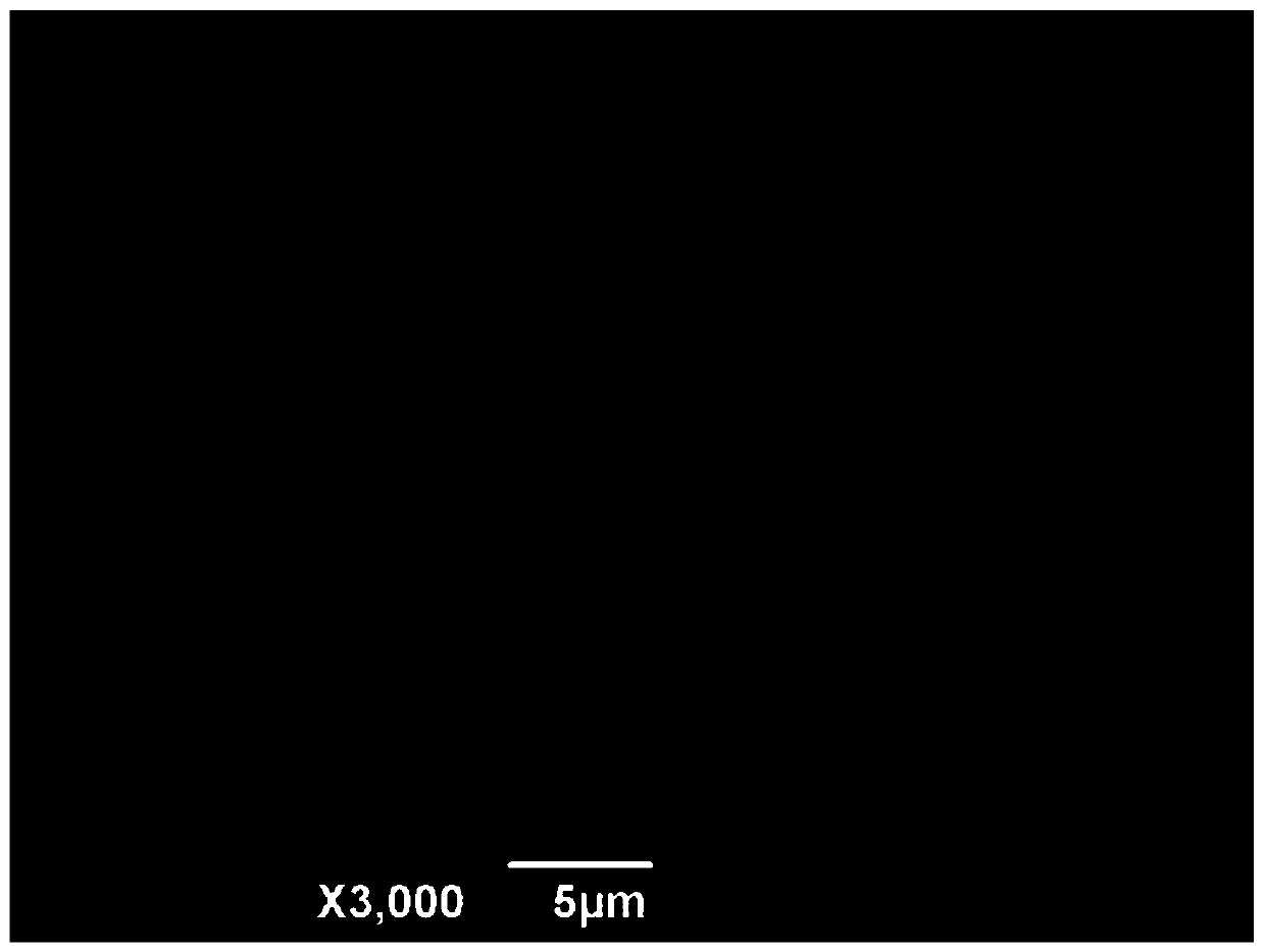 Method for preparing hydroxyapatite and bone collagen composite coating on surface of magnesium alloy