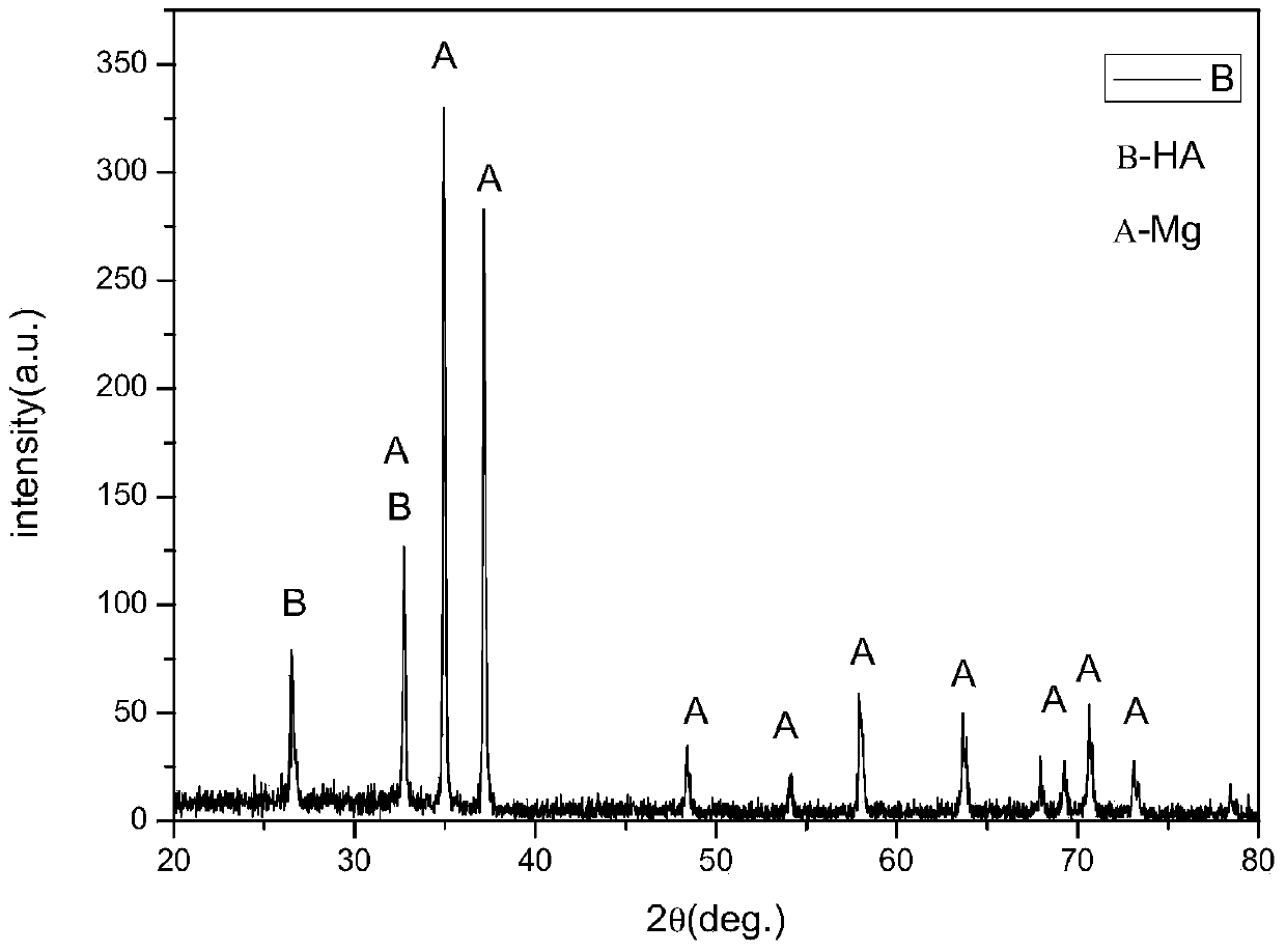 Method for preparing hydroxyapatite and bone collagen composite coating on surface of magnesium alloy