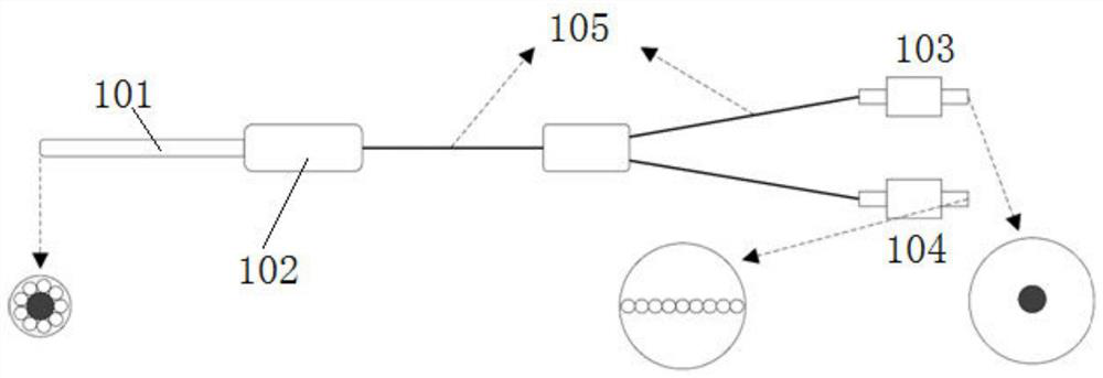 Multi-scale optical fiber fluorescence microscopic imaging system