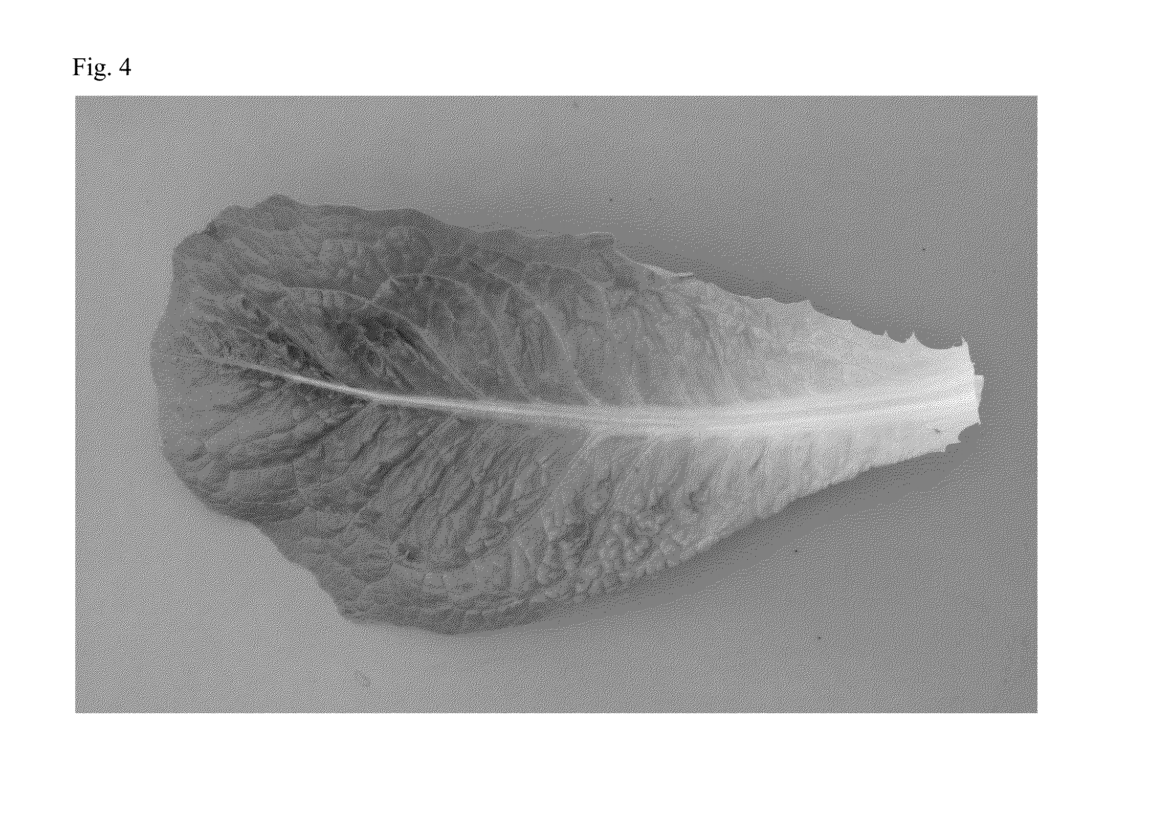 Lettuce variety 41-188 rz