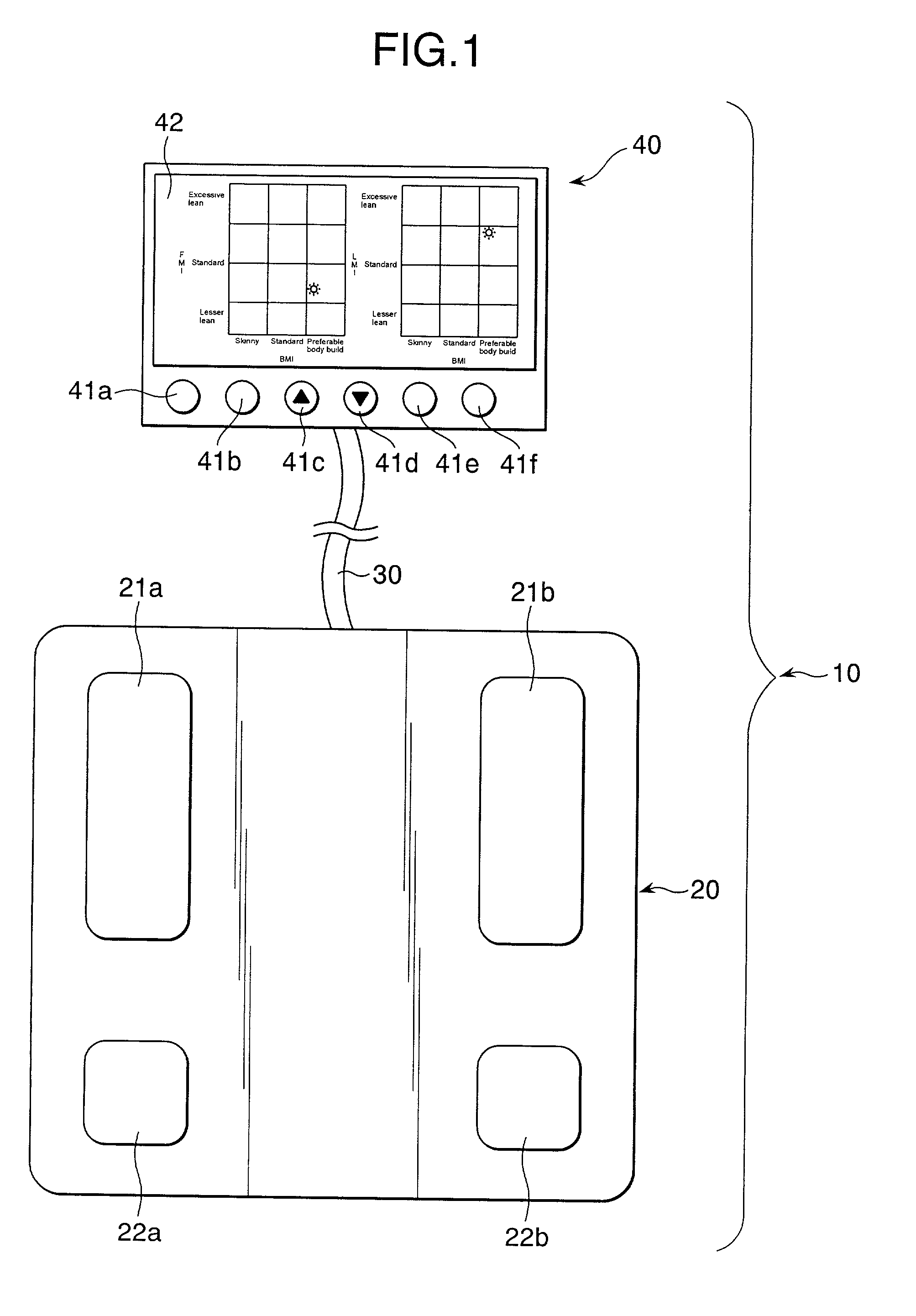 Body type determination apparatus