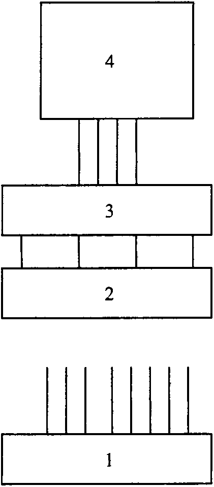 8-wiring-system network card