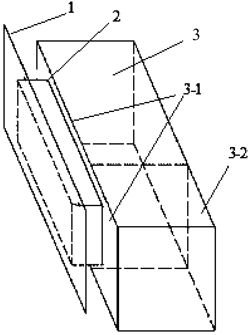 Bedbug monitoring device and method