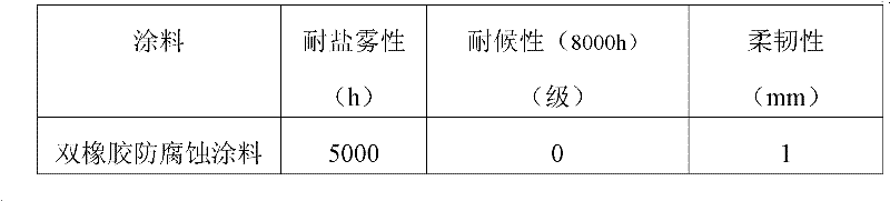 Double-rubber anti-corrosion coating and preparation method thereof