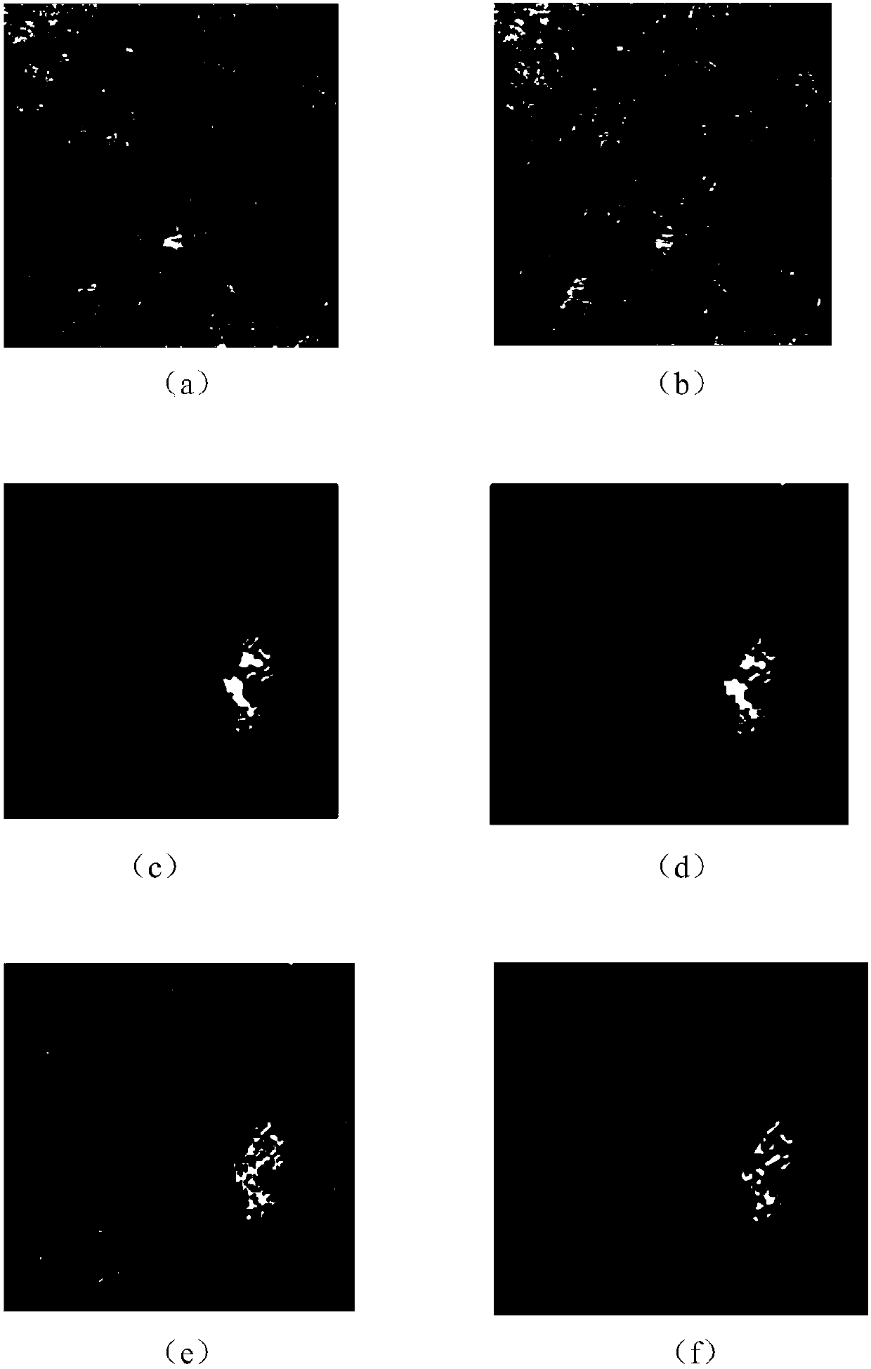 SAR image change region detection method based on neighborhood ratio and self-stepping learning